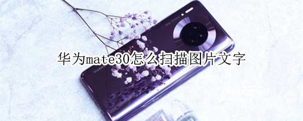 华为mate30怎么扫描图片文字