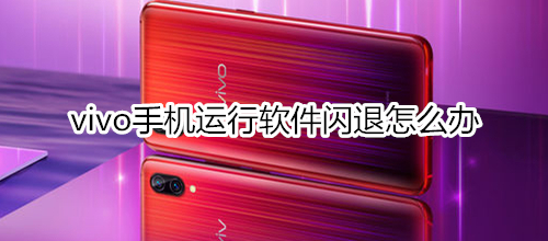 vivo手机运行软件闪退怎么办