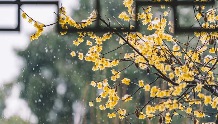 雨,好像停了出自哪里 雨，好像停了是哪个的