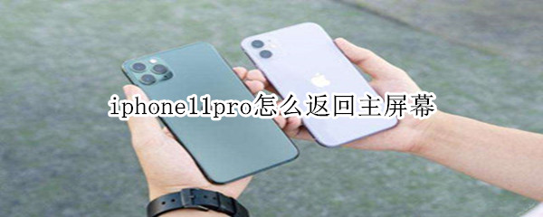 iphone11pro怎么返回主屏幕