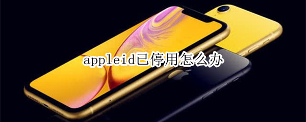 appleid已停用怎么办