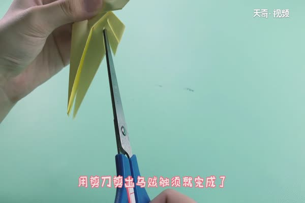 乌贼的折法 乌贼怎么折简单