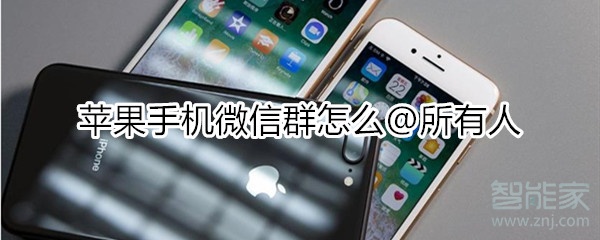 苹果手机微信群怎么@所有人