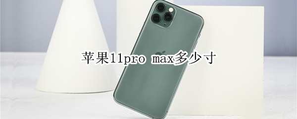 苹果11pro max多少寸