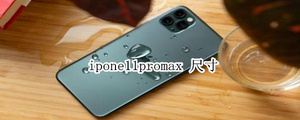 ipone11promax 尺寸