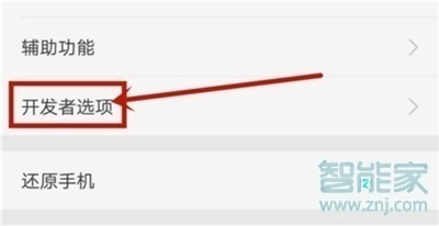 realme Q怎么打开开发者选项