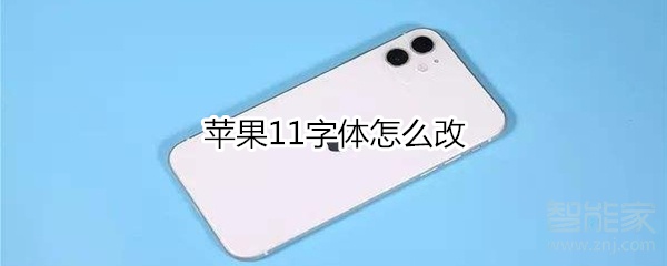 苹果11字体怎么改