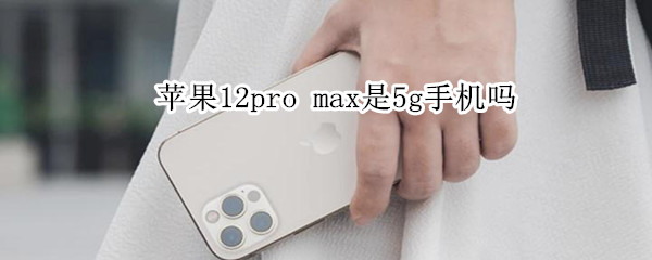 苹果12pro max是5g手机吗