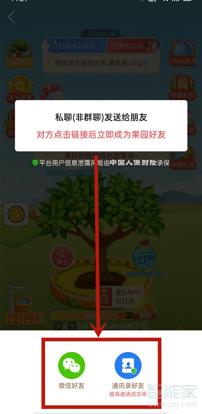 拼多多果园怎么加好友