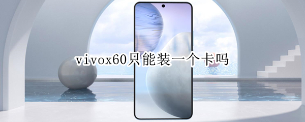 vivox60只能装一个卡吗