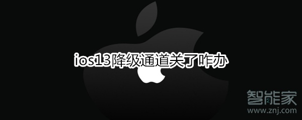 ios13降级通道关了咋办