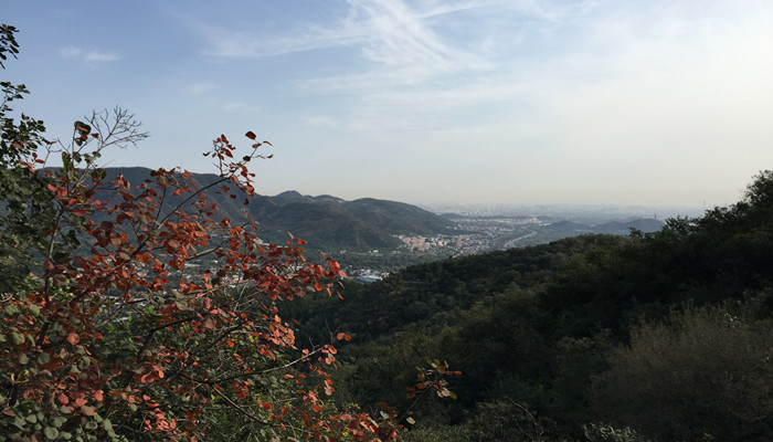 以红叶著名的香山位于哪座城市 以红叶著名的香山位于哪里