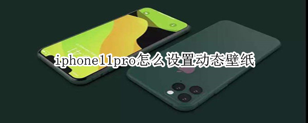 iphone11pro怎么设置动态壁纸