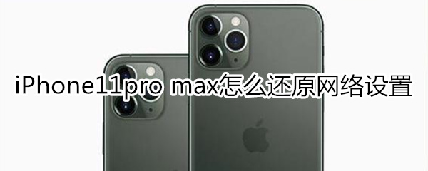 iPhone11pro max怎么还原网络设置