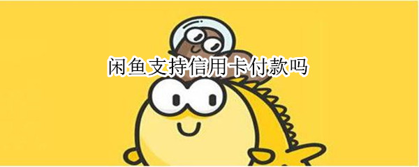 闲鱼支持信用卡付款吗