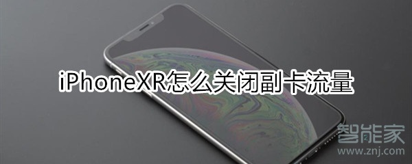 iphonexr怎么关闭副卡流量