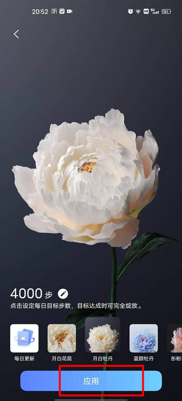 vivox60pro怎么设置行为壁纸