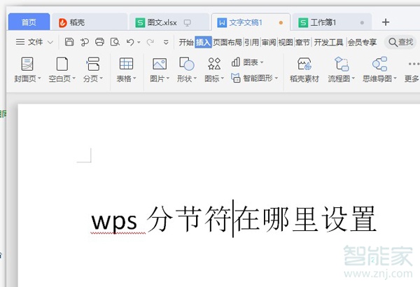 wps分节符在哪里设置