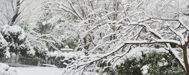 初雪发朋友圈句子 冬季第一场雪朋友圈文案