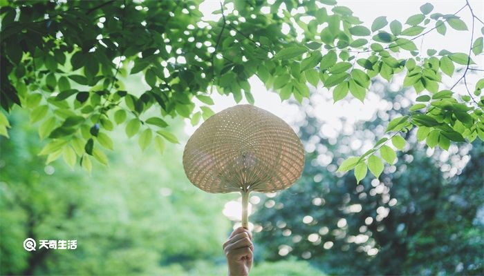 立夏是传统节日吗 立夏是不是传统节日