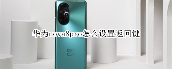 华为nova8pro怎么设置返回键