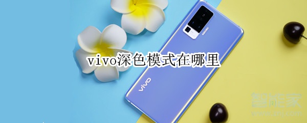 vivo深色模式在哪里