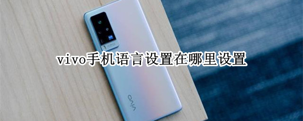 vivo手机语言设置在哪里设置
