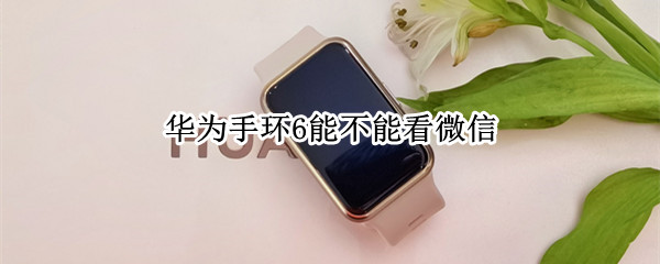 华为手环6能不能看微信