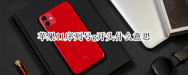 苹果11序列号g开头什么意思