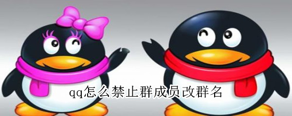 qq怎么禁止群成员改群名