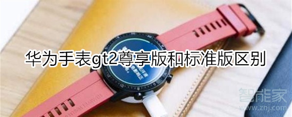 华为gt2尊享版和标准版区别
