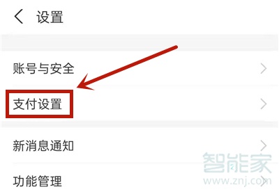 支付宝出行怎么设置付款方式