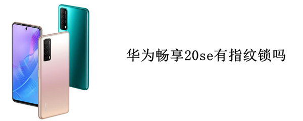 华为畅享20se有指纹锁吗