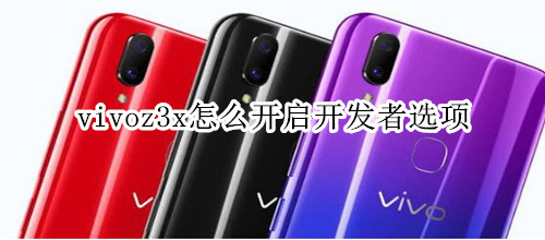 vivoz3x怎么开启开发者选项