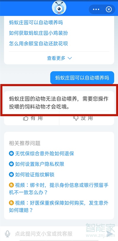 蚂蚁庄园如何设置自动投食