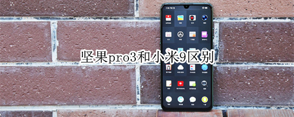 坚果pro3和小米9区别