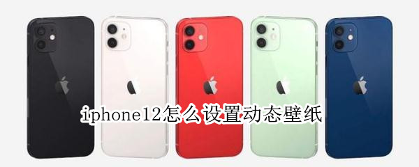 iphone12怎么设置动态壁纸