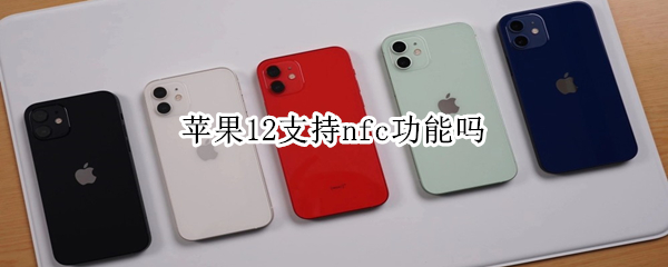 苹果12支持nfc功能吗