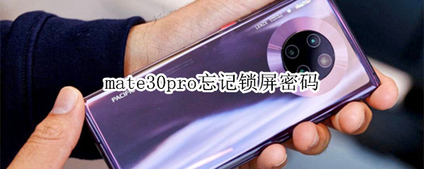 mate30pro忘记锁屏密码