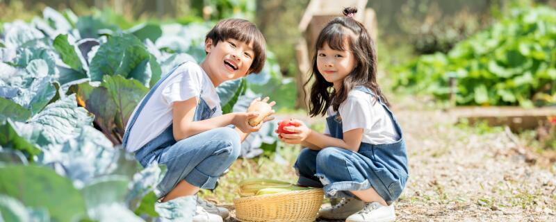 孩子不合群的原因 孩子在学校不合群的原因