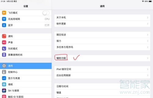 ipad亮度自动调节关闭