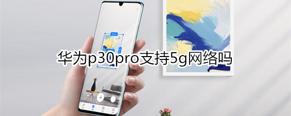 华为p30pro支持5g网络吗
