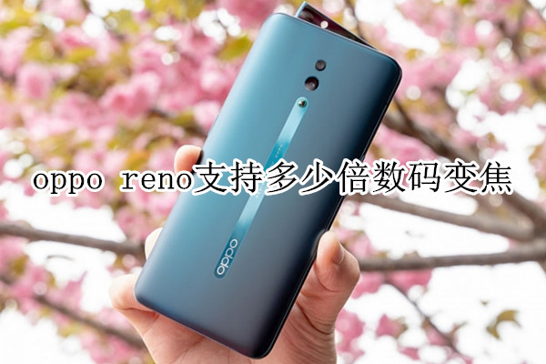 oppo reno支持多少倍数码变焦