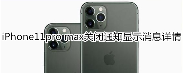 iPhone11pro max怎么关闭通知显示消息详情