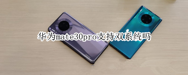 华为mate30pro支持双系统吗