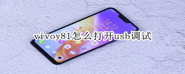 vivoy81怎么打开usb调试