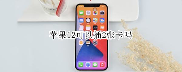 苹果12可以插2张卡吗
