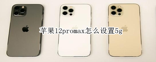 苹果12promax怎么设置5g