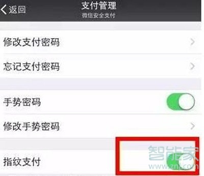 vivoS1pro微信怎么开启指纹支付