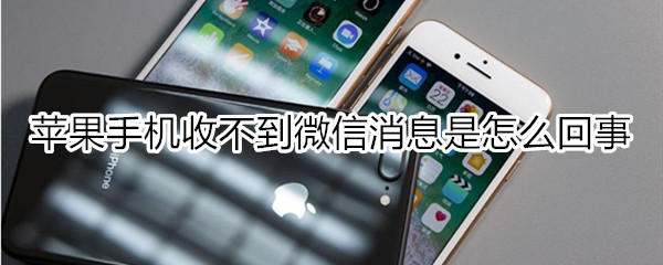 苹果手机收不到微信消息是怎么回事